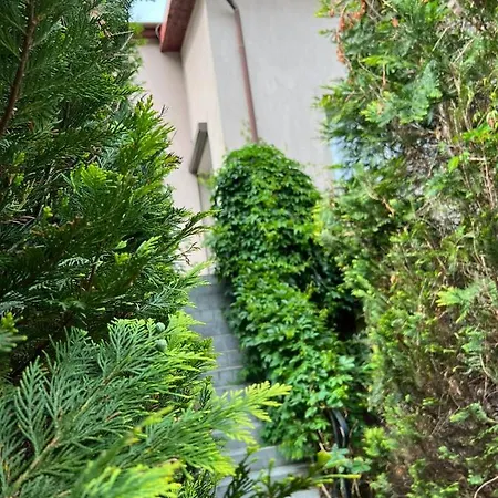 Podlaskiem Appartement *