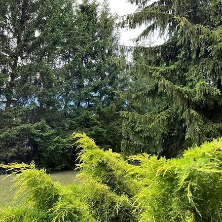 Apartmán Podlaskiem