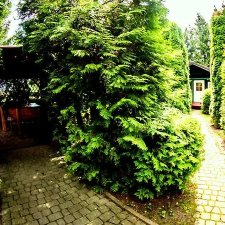Podlaskiem